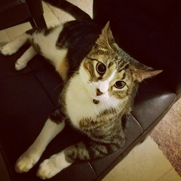 Meet your Posher, Hilary - Picture 1 of 1